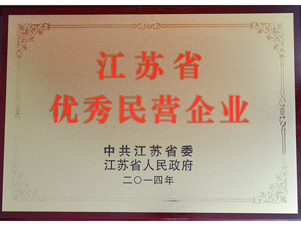 江蘇省優(yōu)秀民營企業(yè)